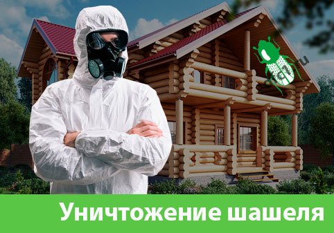 Уничтожение шашеля и личинок в Адлере